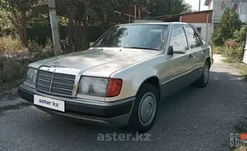 Mercedes-Benz W124 1991 года за 2 800 000 тг. в Алматинская область