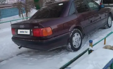 Audi 100 1992 года за 2 150 000 тг. в Северо-Казахстанская область