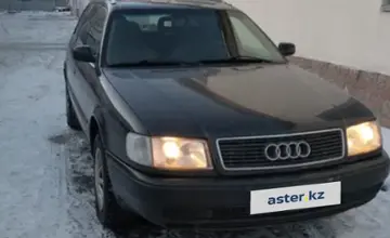 Audi 100 1992 года за 2 700 000 тг. в Караганда