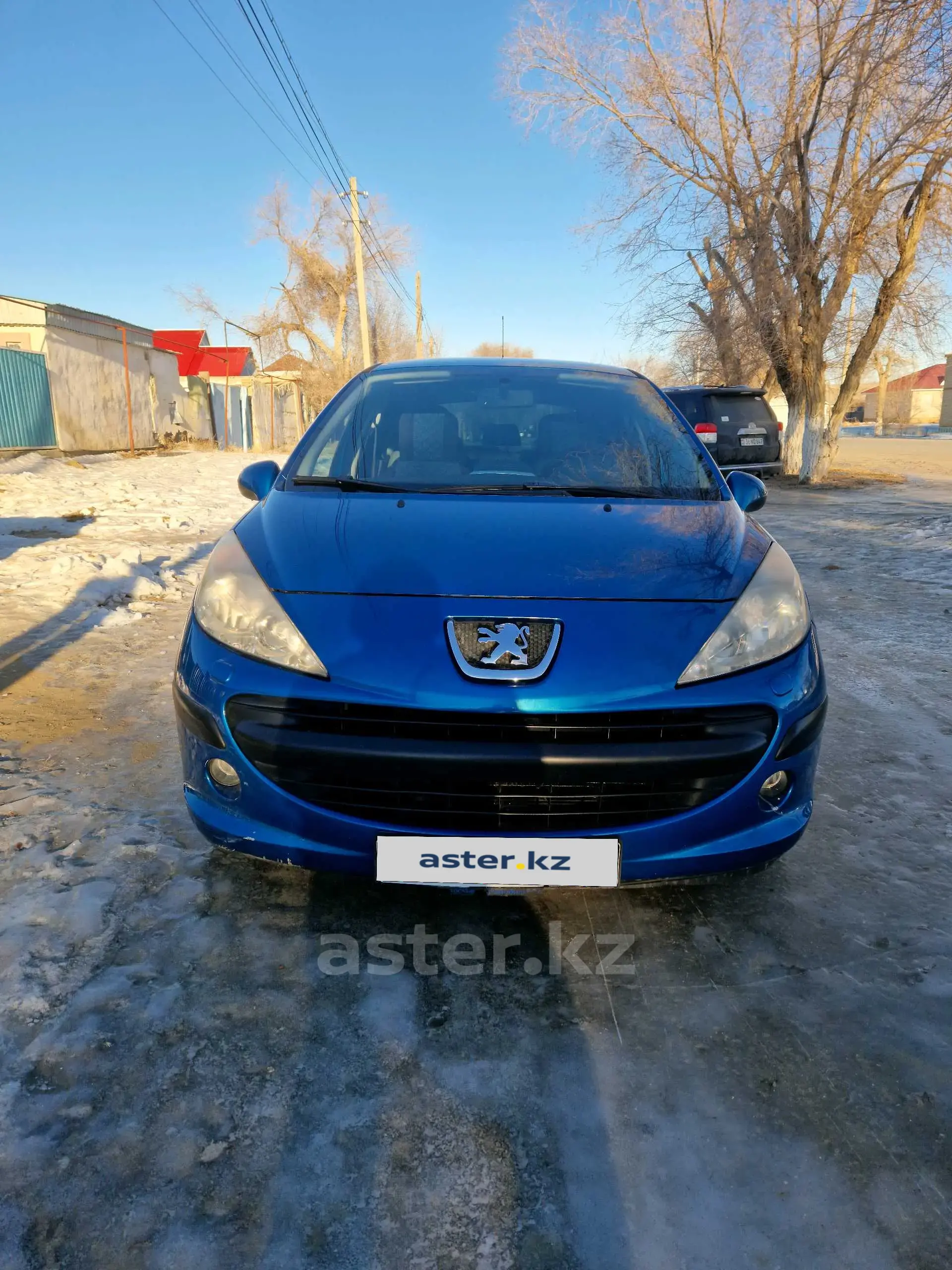 Peugeot 207 2007